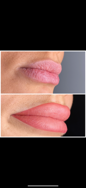 MAQUILLAGE SEMI PERMANENT - LEVRES