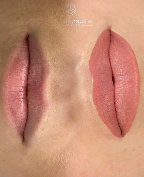 MAQUILLAGE SEMI PERMANENT - LEVRES