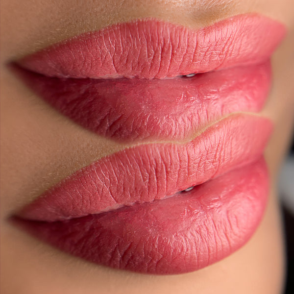 MAQUILLAGE SEMI PERMANENT - LEVRES