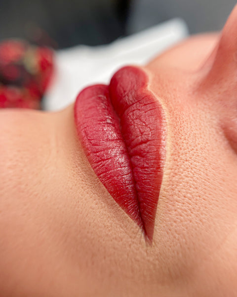 MAQUILLAGE SEMI PERMANENT - LEVRES