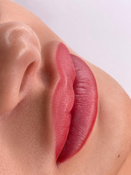 MAQUILLAGE SEMI PERMANENT - LEVRES